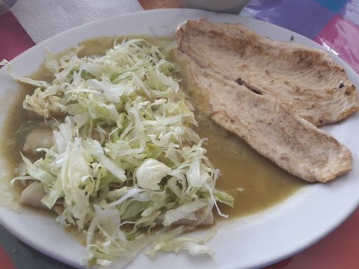 El Señor Nopal - Thumbnail