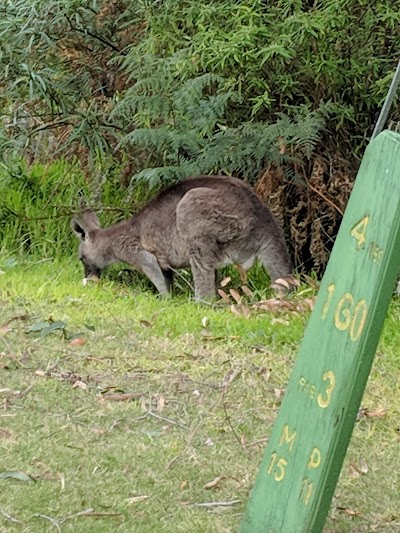 Leongatha Golf Club