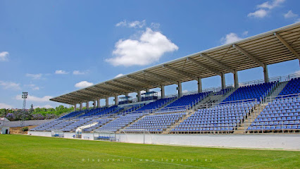 estadio-antonio-gallardo
