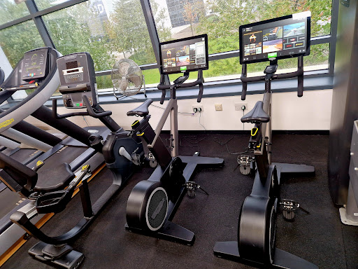 Steps2Fitness - Visual
