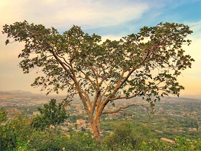 Photos of Kereyu Hill Resort Hotel