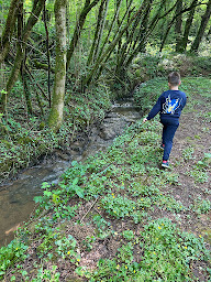Photo n°6 de Accueil de Loisirs des Bois de Saint Pierre à Smarves (Centre aéré et de loisirs pour enfants)