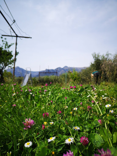 Prato di Balledoro - Thumbnail