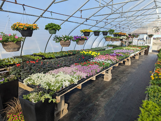 Annies Greenhouse