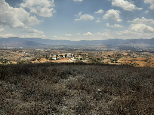 Municipio El Ocote