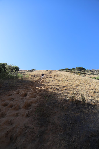 Harry Barbier Memorial Park - Thumbnail