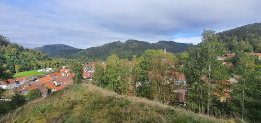 Bergstadt Lautenthal