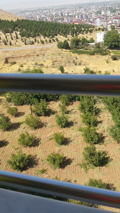 Photos of Kentpark Şahin Şube