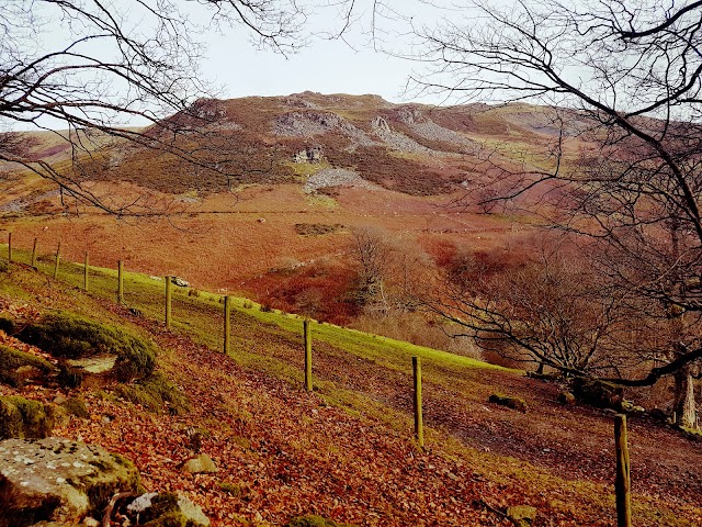 Y Berwyn National Nature Reserve