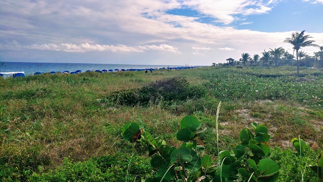 Delray Public Beach