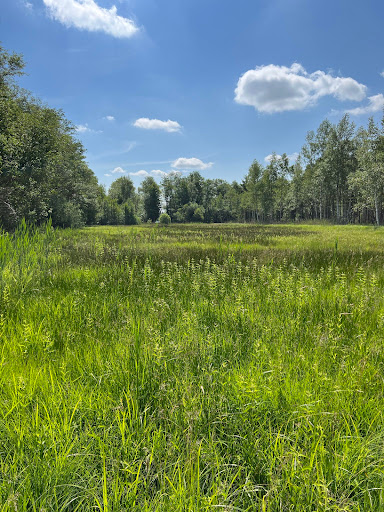 Bacherner Moos - Visual