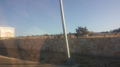 Photos of Zrce Travel