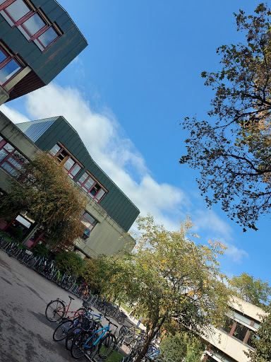 Carlo-Schmid-Gymnasium Tübingen - Thumbnail