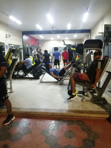 Basics Gym - Thumbnail
