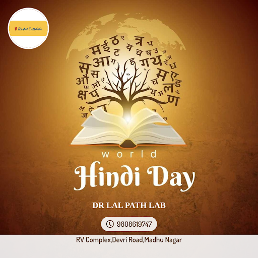 World Hindi Day post image