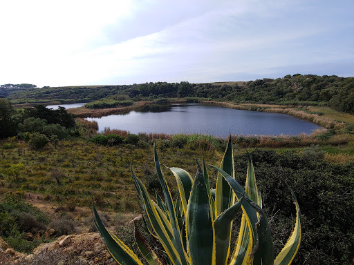 Riserva Naturale Lago Preola e Gorghi Tondi