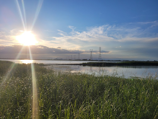 Frayère Park - Visual