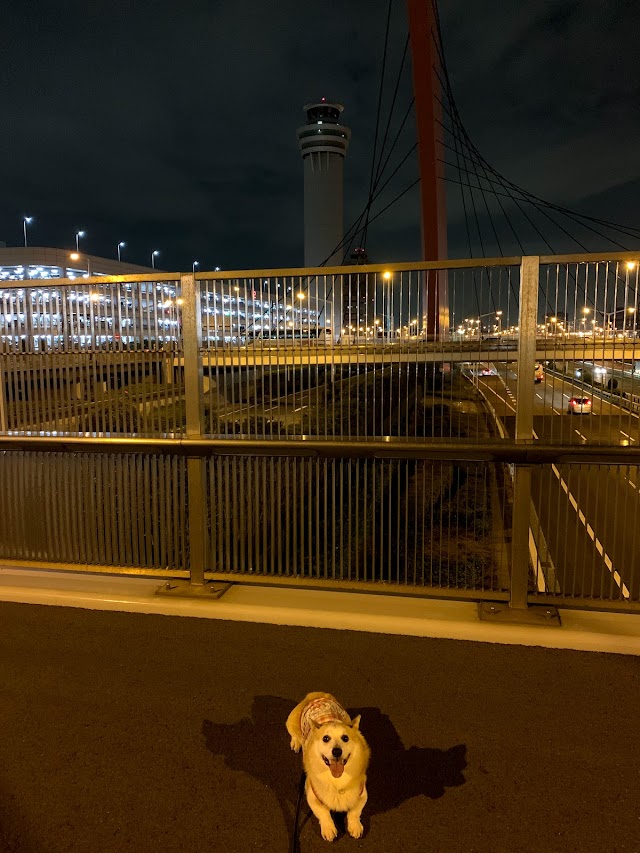 羽田スカイアーチ ／ 東京国際空港中央南北連絡橋