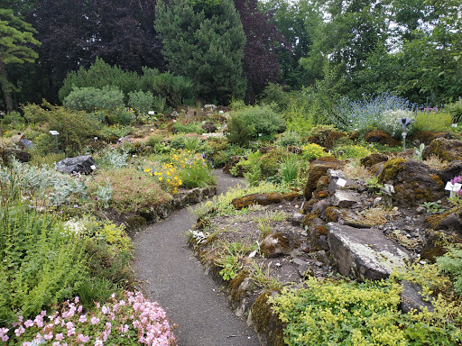 Giessen Botanical Garden Gallery - Germany