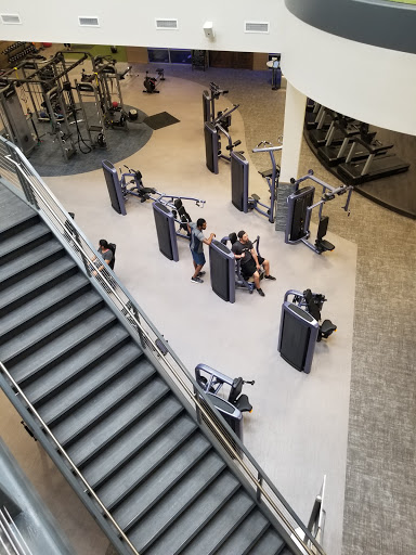 Shape Training, Inc. - Visual