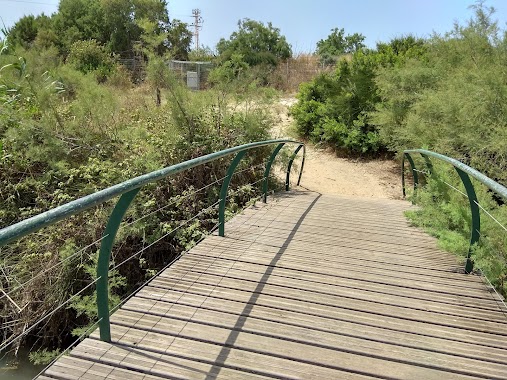 נחל תנינים - Taninim Nature Reserve, Author: shai s