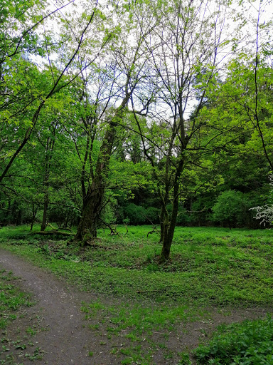 Wernloch - Thumbnail