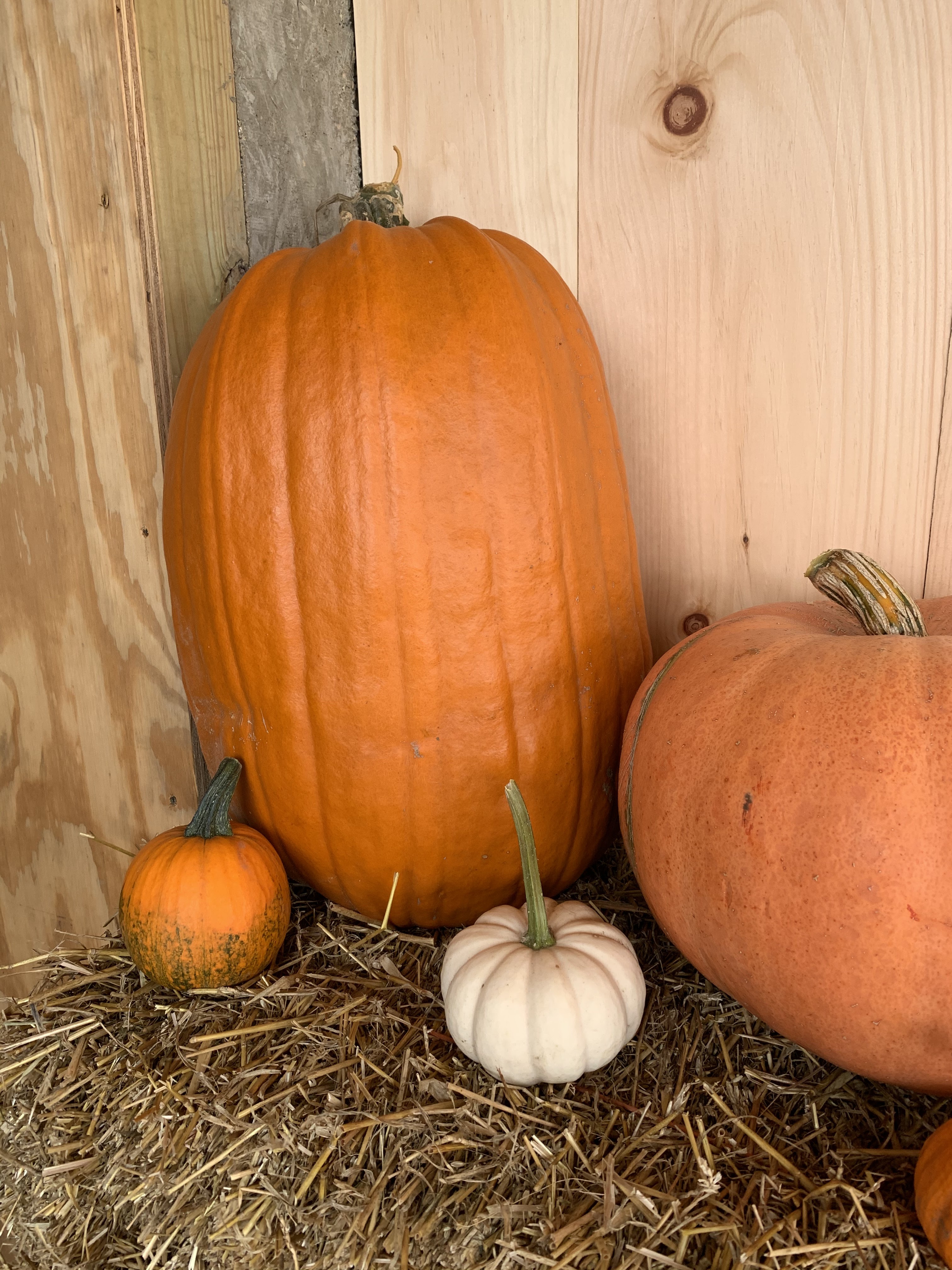 Bergeson Farms LLC