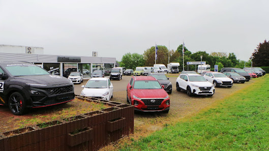 Autohaus Roseburg No. 92 Mehringer Str. 92, 06449 Aschersleben, Deutschland