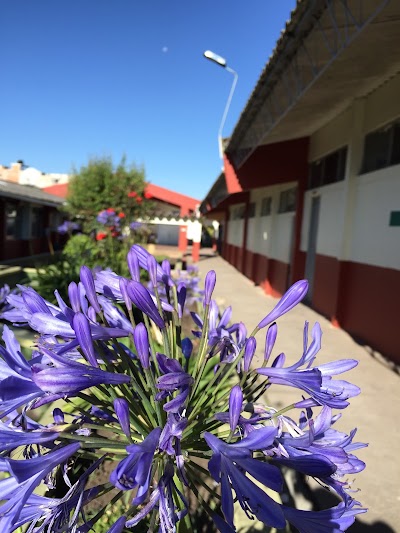 Photos of Ipiales City Educational Institution