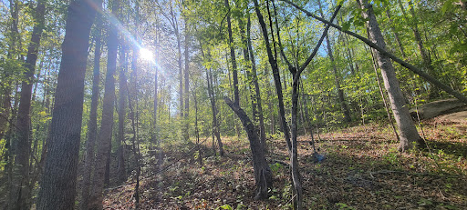 Turnipseed Nature Preserve - Pleasants Road Entrance - Thumbnail