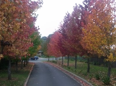 Photos of Bundanoon Lodge Nsw Australia