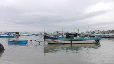 Photos of Seafood Market Santa Rosa