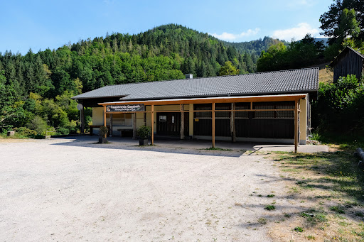 Gausbacher Hexenalm - Thumbnail