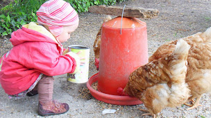 Photo n°18 de Gîte de La Croix-Galliot à Cherrueix (Gîte)
