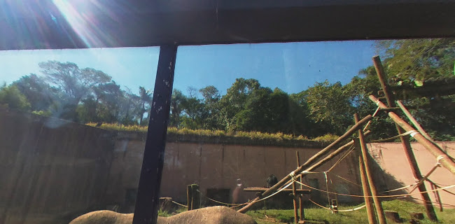 Avaliações sobre Zoológico de São Paulo em São Paulo - Creche