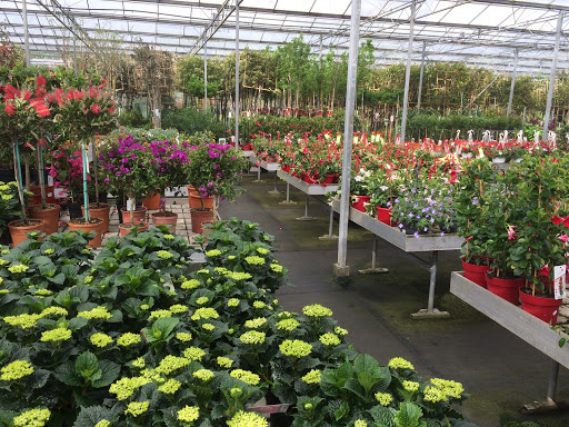 Plantencentrum Van Den Beuken
