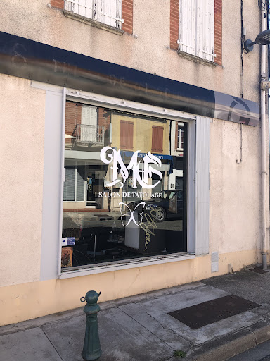 Morpho Gallery - Visual