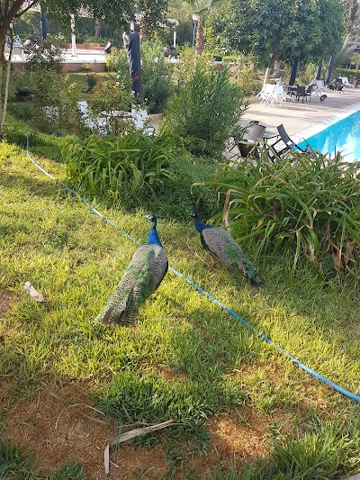 Photos of Cadi Ayyad University Club