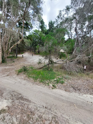 Minjerribah Camping - Flinders Area D Gallery - Australia