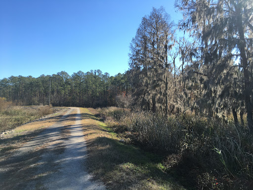 Lake Busbee Walking Trail - Thumbnail
