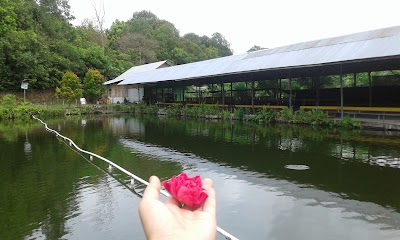 Photos of Pondok Lesehan "AIS" (Alam Indah Segar)