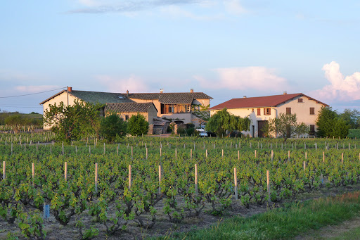Photo de Domaine des Bois