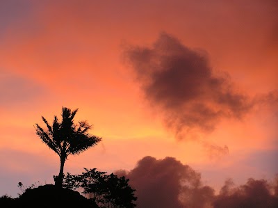 Photos of Lavena Coastal Walk