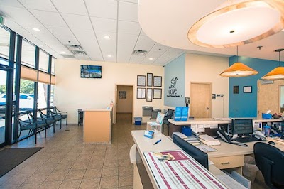 The COVE - Center of Veterinary Expertise