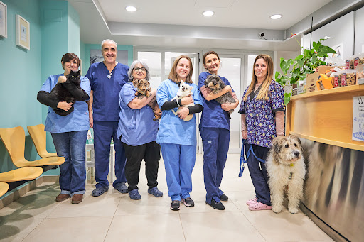 Clínica Veterinària Marcel Gustà