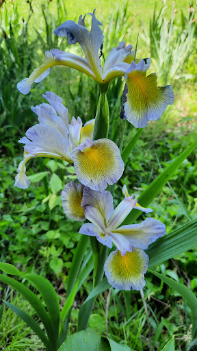 Plant Shack LLC Gallery - United States
