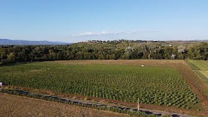 Photo n°6 de Weedling's Finest à Aspiran (Ferme bio)