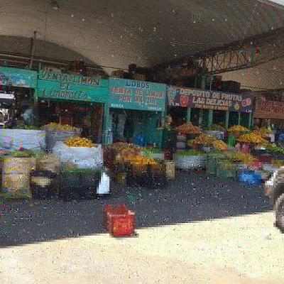 Photos of CENMA