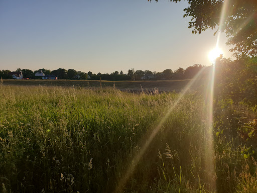 Parkplatz / Wohnmobilplatz am Elsterstausee - Thumbnail