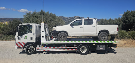 VIACAR ASSISTANCE, S.L. ALGECIRAS